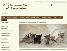 Tablet Screenshot of burmesecatassociation.org